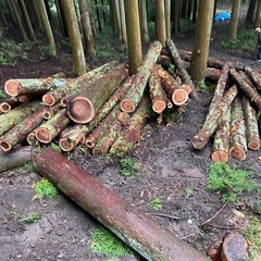 自然の環境で働きませんか？？の画像