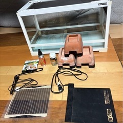 レオパ飼育セット