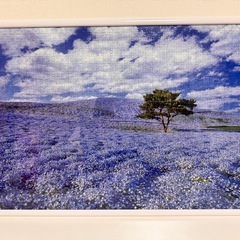 ネモフィラ　パズル