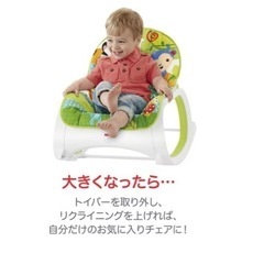 電動バウンサーの画像