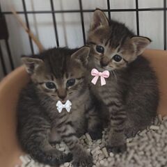 生後1カ月♡お膝大好き兄妹