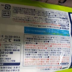 わんちゃんのおむつ🐶13枚です🐶の画像