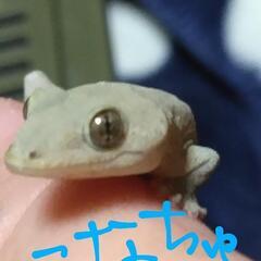 自分の価値
