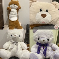 ぬいぐるみ　景品　プライス　