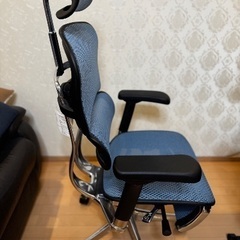 エルゴヒューマンプロ2オットマンの画像