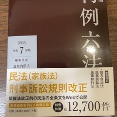 有斐閣判例六法Professional 令和7年版 (単行本) | 道垣内 弘人