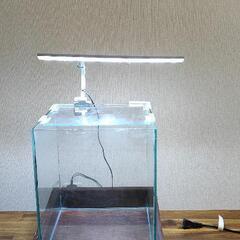 値下げしました。鑑賞用　ガラス水槽　