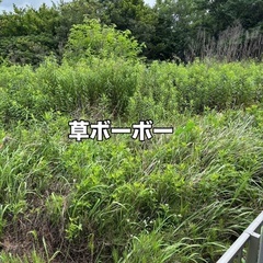 便利屋