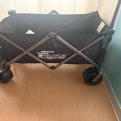 キャリーワゴンの画像