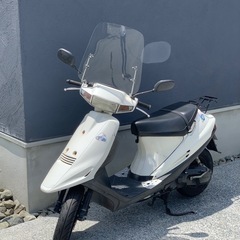 ススギ　アドレスＶ100