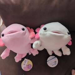 【美品】もちぷにウーパールーパーぬいぐるみ　2つセット