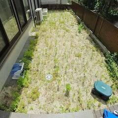 【草毟り】やもりたい家族総出で出動ご依頼作業へ行ってきまし…