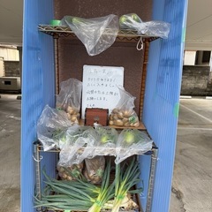 野菜　無人販売　１００円