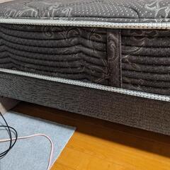 シモンズベットの画像