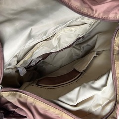 訳あり未使用品　スワニー　swany 取り外し可能キャリーバッグの画像