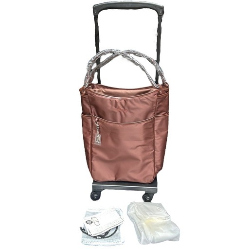 訳あり未使用品　スワニー　swany 取り外し可能キャリーバッグ