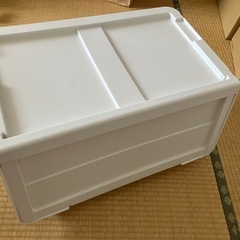 ポリプロピレン収納ケース