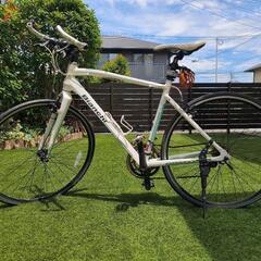 Bianchi ローマ2 未整備品