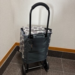 ショッピングキャリーの画像