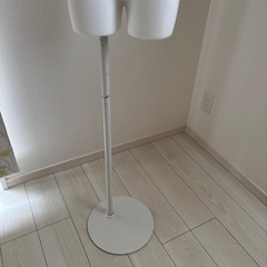 トルソー　の画像