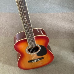 Legend FG-15 アコースティックギターの画像