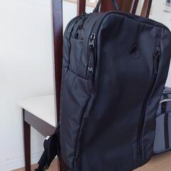 最終金額Mammut Seon Transporterマムート セオン トランスポーター 15Lの画像
