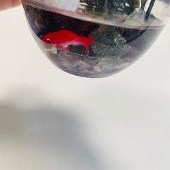 レジン　池③の画像