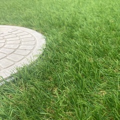 人工芝 2m幅×残り少々の画像