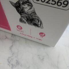 猫😾キャットフード4kg😾グルテンフリーの画像