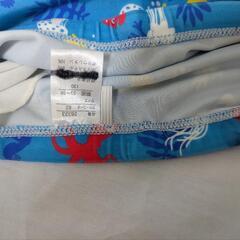 海の生き物水色の画像