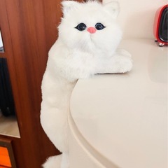 【無料】猫 インテリア