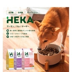 原材料に拘ってるドッグフード10キロ