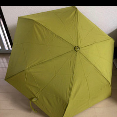 折りたたみ傘の画像
