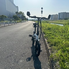 glafit グラフィット GFR-02 折りたたみ自転車 自転...