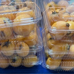 びわ ハネの画像