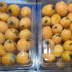 びわ ハネの画像