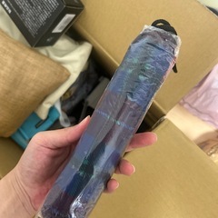かさ