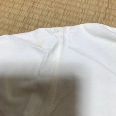 バーバリーポロシャツ中古の画像