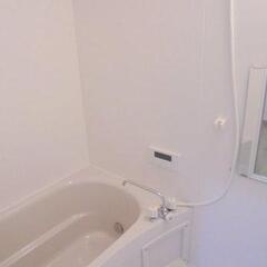 🏠️敷礼無料！快適な1LDK、閑静な住宅地で新生活を！ - 不動産