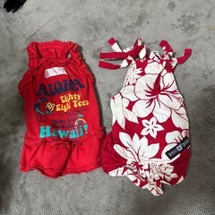 超小型犬用の洋服セットの画像