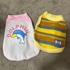 超小型犬用の洋服セットの画像
