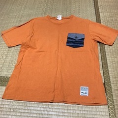 ティーシャツⓂ️