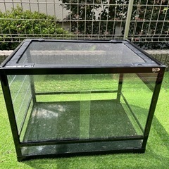 三晃商会　パンテオン　ブラック　ＢＫ６０４５