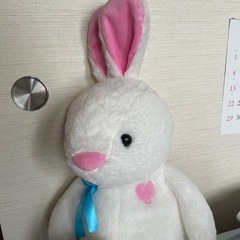 うさぎぬいぐるみですの画像