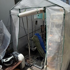 ビニールハウス