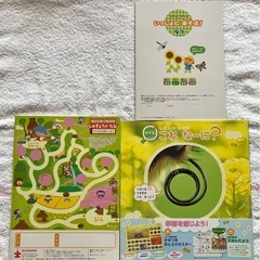 ひかりのくに　知育絵本3冊セット　がくしゅうひかりのくに　新品　図鑑　幼児キッズの画像