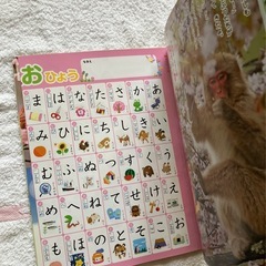 ひかりのくに　知育絵本3冊セット　がくしゅうひかりのくに　新品　図鑑　幼児キッズの画像