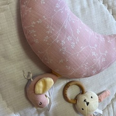 エイデンアンドアネイ　プレイジムの画像