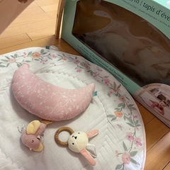 エイデンアンドアネイ　プレイジム