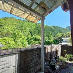 【DIY可・初期費用ゼロ】平屋戸建て｜ペットOK・譲渡型相談もOK！ - 加茂郡